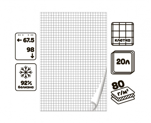 Бумага для флипчарта в клетку Calligrata, 67.5 х 98 см, 20 листов, 80 г/м2