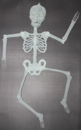 Скелет малый фосфорный